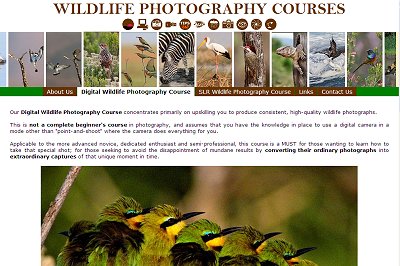 Wildlife Photo Courses